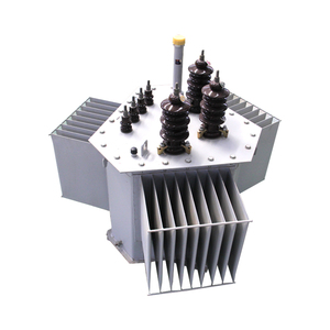 Transformador de Potencia Trifásico de 250KVA/ 11KV/ 0.416KV OEM con 3 Bobinados de Cobre Sumergidos en Aceite - Product Image 6