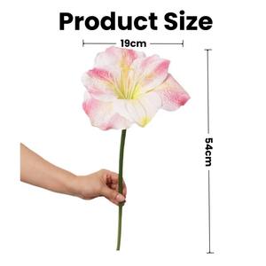 Ampoules d'<span class=keywords><strong>amaryllis</strong></span> artificielles personnalisées Real Touch <span class=keywords><strong>fleur</strong></span> en plastique souple <span class=keywords><strong>fleur</strong></span> rouge blanc rose pour la décoration de mariage à la maison - Product Image 2