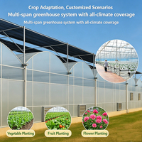 Kit de serre en film plastique multi-spans personnalisable pour l'agriculture, la culture hydroponique de tomates, de choux et de laitues