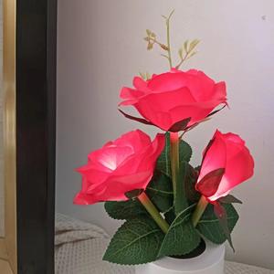 Lampe Ornement Bleu Rouge Rose Chambre à coucher Lampe Décoration de table Cadeau Uionen 2223 - Product Image 4