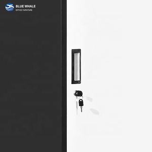 Armario para la escuela, dormitorio individual, 2 puertas, gimnasio, escuela, taquillas de gimnasio, a la venta, caja comercial, armario con llaves, muebles modernos - Product Image 5