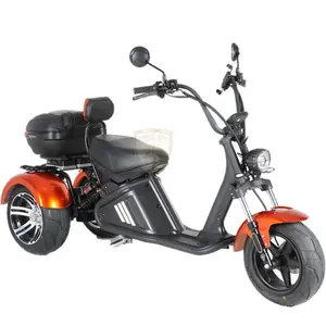 Mangosteen Trike M2 EEC COC 2000W 3 ruote Scooter elettrico a lungo raggio triciclo Citycoco Street Legal 3 ruote moto