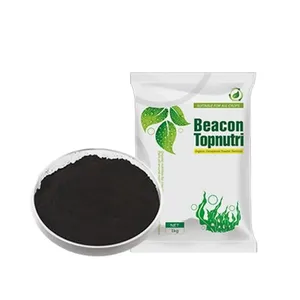 Beacon bubuk organik kelp rumput laut excract flake pupuk organik seperti produk pupuk tulang makanan