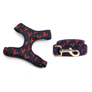 Arnés y Correa Ajustables para Perros con Impresión Personalizada de Diseñador, sin Tirones, con Logotipo Personalizado para Perros, Venta al Por Mayor - Product Image 3