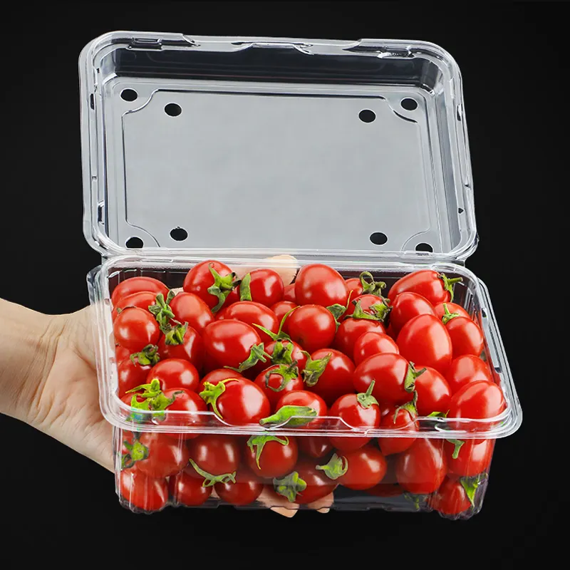 उच्च गुणवत्ता वाली पीईटी सामग्री स्पष्ट पारदर्शी फल सब्जियां कंटेनर 12OZ फल पैकेजिंग