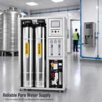 Machine de purification d'eau RO commerciale 1 T/H en acier inoxydable, équipement de traitement d'eau par osmose inverse industrielle OEM ODM