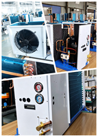 Com-Energy: Elegante B-Box-Typ Verflüssigungseinheit für Gewerbliche Kühlhäuser mit Hocheffizienz-Scrollkompressorsystem