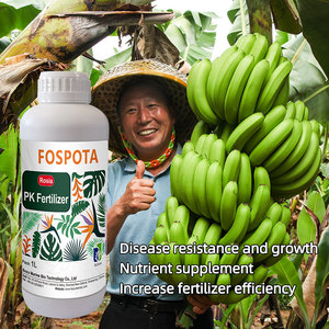 سماد موز عضوي سائل ، حمض الهيوميك ، محصول البوتاسيوم ، يزيد من إنتاجية تخزين الفاكهة ، مسحوق - Product Image 6