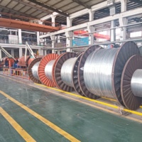 8,7/15kV Mittelspannungs-NYY22/NAYY22/NA2X2Y Aluminiumleiter XLPE-Isoliertes PVC-Ummanteltes Stromkabel