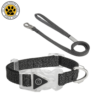 Collar de perro LED SinSky, luces brillantes personalizadas, seguridad nocturna, caminar, personalizado, impermeable, luz intermitente, Collar de perro reflectante - Product Image 4