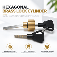 Cylindre de serrure à came hexagonale en laiton massif avec 2 clés pour armoire, boîte, casier, coffret à outils