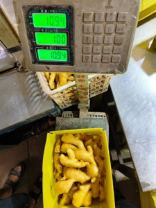 Gừng Để Bán Gừng Khô Với Giá Tốt - Product Image 5