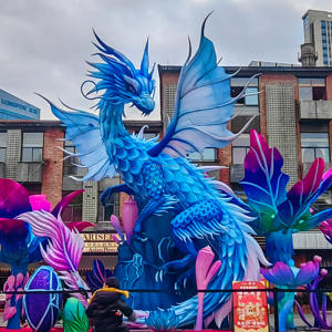 Vente chaude LED Tissu Fil <span class=keywords><strong>Dessin</strong></span> Coloré Animal <span class=keywords><strong>Dragon</strong></span> pour les Événements du Nouvel An - Product Image 4