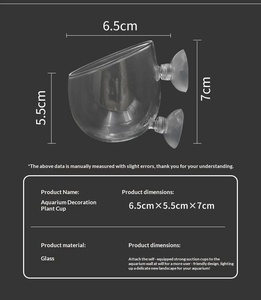 Pot de culture en verre cristal <span class=keywords><strong>pour</strong></span> plantes aquatiques, avec ventouse, fixation facile <span class=keywords><strong>pour</strong></span> aquarium et aquascape - Product Image 6
