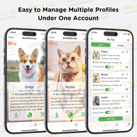 2025 Neues Einfaches QR-Code Luxus Langlebiges Epoxid Abreißbares Reflektierendes Personalisiertes Haustier Katze Hund Identifikations-ID-Etikett