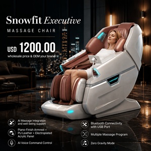 2026 Factory Wholesale High Quality 4D <b>Zero</b> <b>Gravity</b> Home Use <b>Chair</b> With Foot - Product Image 1