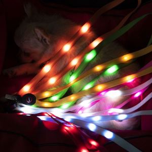 Correas de Poliéster con Logotipo Personalizado, Impresas con Serigrafía, con Luz LED Intermitente, Diseño Nuevo y Popular - Product Image 4
