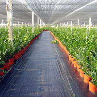 PP tissé couvre-sol maille Anti-herbe contrôle des mauvaises herbes tissu bloqueur paillis Film plastique UV coupe rouleau UV traité tapis de mauvaises herbes rouleau