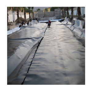 Vente d'usine de géomembrane standard CE Feuille de géomembrane PE-HD Grands étangs à poissons en plastique Réservoir agricole - Product Image 3