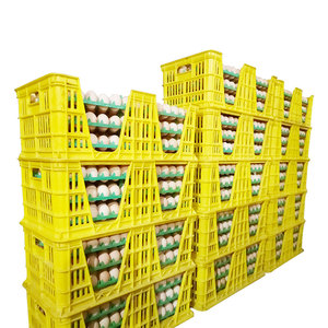 Storage Baskets chicken egg transportation crate of egg