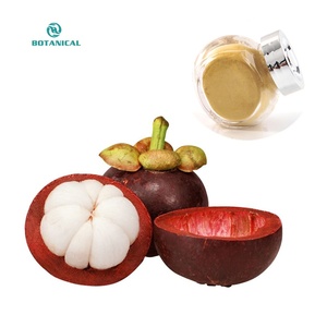 Poudre d'alpha-mangoustan en poudre d'extrait d'écorce de mangoustan en vente de gros au meilleur prix - Product Image 4