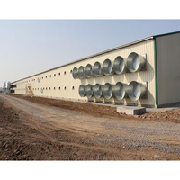 Structure en acier Hangar à poulets Anti-rouille Poules à griller ventilées Élevage de volailles Élevage de poulets Grande capacité