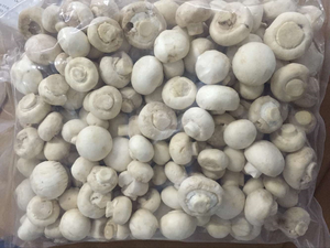 Nấm Tươi và đông lạnh nấm champignon <span class=keywords><strong>matsutake</strong></span> Trồng Nấm toàn bộ quá trình iqf kiểu lát - Product Image 5