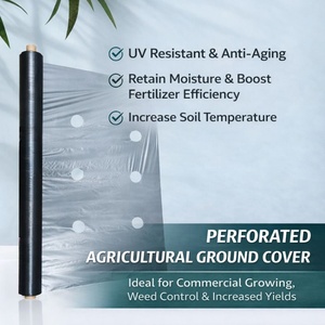 Nouveau <span class=keywords><strong>film</strong></span> <span class=keywords><strong>de</strong></span> paillis PE bicolore argent et noir, adapté à la culture des fraises et des légumes. - Product Image 3