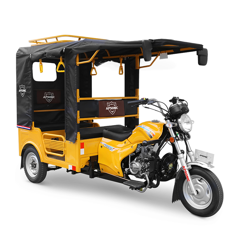 『新品・未使用』三輪車　ブラウン　両対面式 対面式おさんぽ車(避難車兼用)・セフティエース・2 - チャイルド