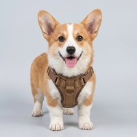 Harnais réglable pour animaux de compagnie, personnalisé, en néoprène souple, système de promenade à clip frontal, anti-traction, pour chiens et chats de petite et grande taille