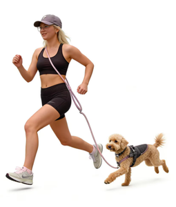 Correa de Nylon Ajustable Premium para Perros Medianos y Grandes, Manos Libres, con Asa Cómoda, para Llevar en la Cintura o Cruzada - Product Image 5