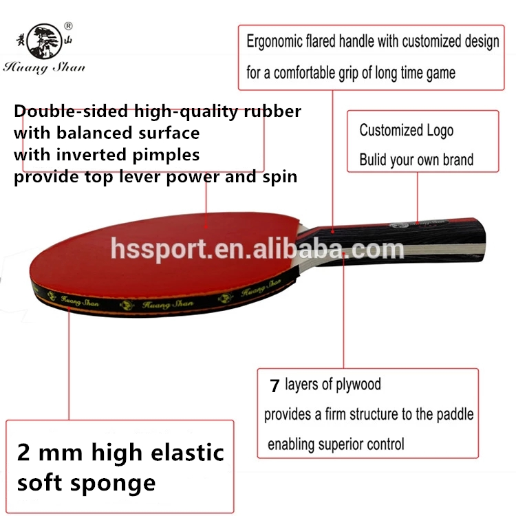 4 Player Pro премиум ракетка для настольного тенниса ракетки набор из 4 летучей мыши 6 шаров 1 выдвижной сетка для настольного тенниса с портативный чехол сумка в комплекте