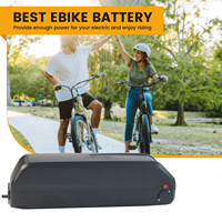 Batterie au lithium Hailong 52 cellules 18650 14Ah/13Ah pour remplacement de vélo électrique 36V/48V, chargeur de vélo électrique 30A BMS 250W-1000W