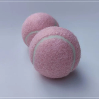 Balle de tennis rose et ludique spécialement conçue pour les débutants pour entraîner le tennis avec des balles de tennis Padel à haute élasticité