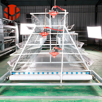 Cages à poules multi-niveaux de grande capacité spécialement conçues pour les élevages, pratiques pour le nettoyage des déjections des poules pondeuses