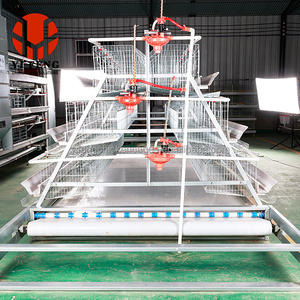 बड़ी क्षमता बहु-परत चिकन बैटरी पिंजरे विशेष रूप से डिजाइन किए गए प्रजनन फार्म के लिए उपयुक्त हैं। - Product Image 3