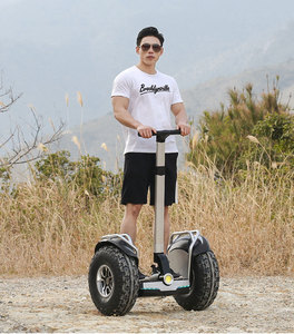 สกู๊ตเตอร์ทรงตัวอัตโนมัติแบบมีหลังคา 2 ล้อ พร้อม GPS สำหรับการเดินทางส่วนบุคคล - Product Image 4
