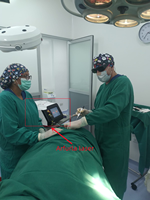Machine laser portable 2026 980nm 1470nm pour la chirurgie des hémorroïdes, la fistule hémorroïdale, la fissure et le sinus, à intervention minimalement invasive