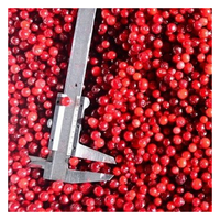 Bevroren Lingonberry Bulk/Kleine Verpakking Bevroren Fruit Iqf Bevroren Lingonberry Bosbes Export Rusland Oorsprong China