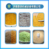 Machines d'Extrusion de Riz Artificiel de Haute Qualité, Lignes de Production de Riz Instantané Fortifié et Nutritionnel, Vente Chaude
