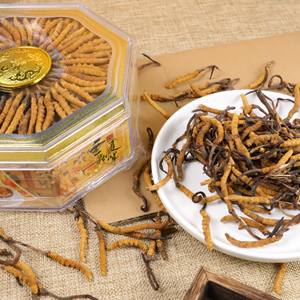 Melhor Preço Qualidade Natural <span class=keywords><strong>cordyceps</strong></span> militaris Bulk Oragnic Cru congelado seco tiens <span class=keywords><strong>Cordyceps</strong></span> <span class=keywords><strong>sinensis</strong></span> - Product Image 3