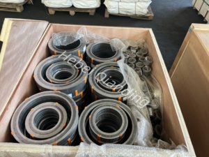 Đảm bảo chất lượng Graphite xoắn ốc vết thương Gasket với vòng bên trong và vòng ngoài SPW Gasket - Product Image 3