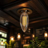 Ampoules LED à filament en verre transparent B35 à économie d'énergie, 2700K, indice d'indiceation des couleurs élevé, lampe LED en forme de bougie pour luminaires en cristal