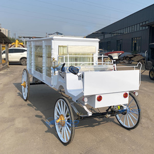 Nuevo Coche Fúnebre Eléctrico sin Caballos de 4 Ruedas, Marca XCEGO, Origen Henan - Product Image 2