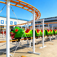 Équipement de montagnes russes pour fête foraine, manèges de jardin pour enfants, mini-montagnes russes Wacky Worm