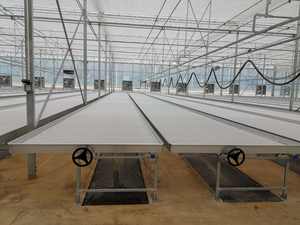 Serres agricoles personnalisées en gros, tables de semis mobiles galvanisées à <span class=keywords><strong>marée</strong></span> - Product Image 6