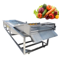 Groente Fruit Wasmachine Industriële Bubble Wasmachine Fruit