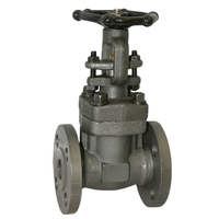 Katup Gerbang Baja Cor ANSI PN16/25/300LB DN50-600 CE WCB Baja Karbon Tipe Flens API 600 Kelas 150 NPT 2/4/6/8 Inci