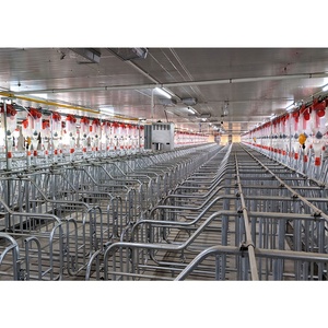 Fabrika kaynağı domuz çiftliği iç<span class=keywords><strong>in</strong></span> domuzcuk yuvası kasalar kafes domuz tarım sandık kalem - Product Image 3