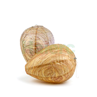 Lanterne répulsive contre les guêpes en papier écologique et tissu imperméable Haierc, déguisement de guêpe suspendu, nid de guêpes